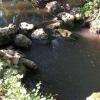 Отель Chambre dHôte Moulin du Ru, фото 8