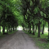 Отель Zespół Pałacowo-Parkowy w Ostromecku, фото 33