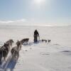 Отель Holmen Husky Lodge, фото 22