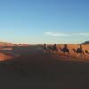 Отель Sahara Camels Camp, фото 32