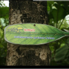 Отель Magmai Homestay, фото 2