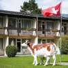 Отель Jungfrau Hotel Annex Alpine Inn, фото 14