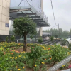 Отель Zhengzhou Xijing Hotel, фото 14
