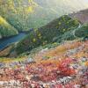 Отель Casa Turística Viladonatus (Ribeira Sacra), фото 3