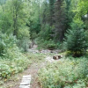 Отель Astrid Cabin Montana, фото 21