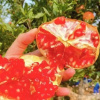 Отель Ruijia Smart Hotel, фото 3