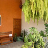 Отель Aruma Cuernavaca, фото 1