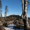 Отель Mountain Apartment in Bad Kotzting, фото 10