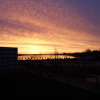 Отель Ferienpark M04-001 Ferienpark, фото 11