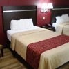 Отель Red Roof Inn PLUS+ Nashville Fairgrounds, фото 7
