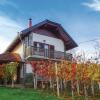 Отель Vineyard Cottage Bahor, фото 1