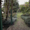 Отель Las Cruces Biological Station, фото 16