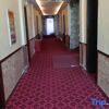 Отель New source hongdu hotel, фото 5