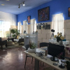 Отель Ground floor apt, private patio, South facing, direct access to the beach, фото 8