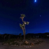 Отель Perfect Getaway W/amazing Views At Joshua Tree 3 Bedroom Home by RedAwning, фото 28