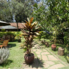 Отель Hibiscus Guest House, фото 9