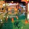 Отель Green Island Hoian Villa, фото 13