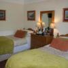 Отель Dolweunydd Bed & Breakfast, фото 3