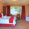 Отель Durban Manor Guest House, фото 6