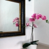 Отель Grecalotto Apartment, фото 9