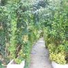 Отель Hostal La Mesnadita, фото 11