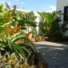Отель Finca Botanico, фото 1