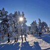 Отель BnB Chalet-Gafri, фото 16