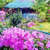 Отель Moalboal Bamboo House / Rooms, фото 45