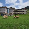 Отель Ferien- und Familienhotel Alpina, фото 19