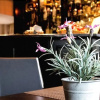 Отель Canterbury Hotel, фото 10