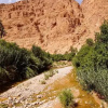 Отель Kasbah Dar Ahlam, фото 22