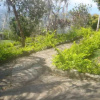 Отель Rancho Grande, фото 20