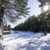 Отель The Canadian Ecology Centre Cabins, фото 11