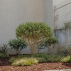Отель Porto Modern Downtown Apartment B With Garden, фото 20