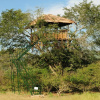 Отель Bamboo Banks Farm & Guest House, фото 5