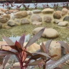 Отель Lanyang Hot Spring Resort, фото 2