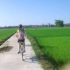 Отель Thao Nguyen Phat Homestay, фото 15