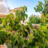 Отель House with 3 Bedrooms in la Oliva, with Wonderful Mountain View, Furnished Terrace And Wifi, фото 27