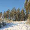 Отель Summer or Winter a magical region of Nystrand has many hidden secrets to unlock, фото 19