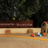 Отель Star Emirates Garden Villas, фото 11