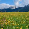 Отель Ferienwohnungen Alpengarten Landhaus Am Breitenberg, фото 8