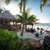 Отель Beachfront Hotel La Palapa - Adults Only, фото 33