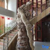 Отель Dihao Hotel, фото 10
