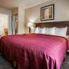 Отель Quality Inn & Suites Anaheim At The Park, фото 30