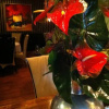 Отель Hotel-Restaurant Krabbendam, фото 9