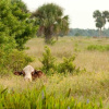 Отель Hampton Inn Okeechobee - Lake Okeechobee, фото 24