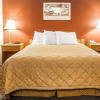 Отель Rodeway Inn & Suites, фото 7