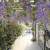 Отель CityZoe Athens Suites, фото 26