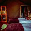 Отель Buffelsdrift Game Lodge, фото 3