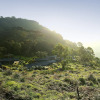 Отель Nature Zone Jungle Resort, фото 1